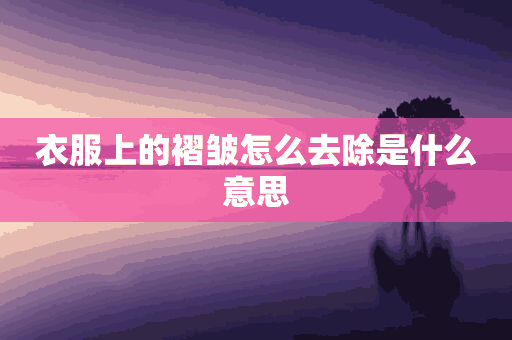 衣服上的褶皱怎么去除是什么意思